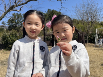 봄꽃을 찾았어요